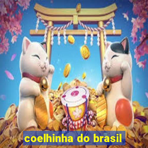 coelhinha do brasil